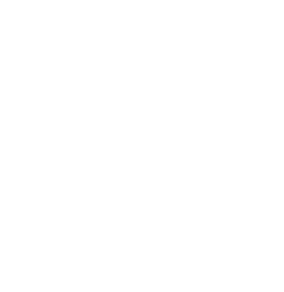 The Blossom Academy