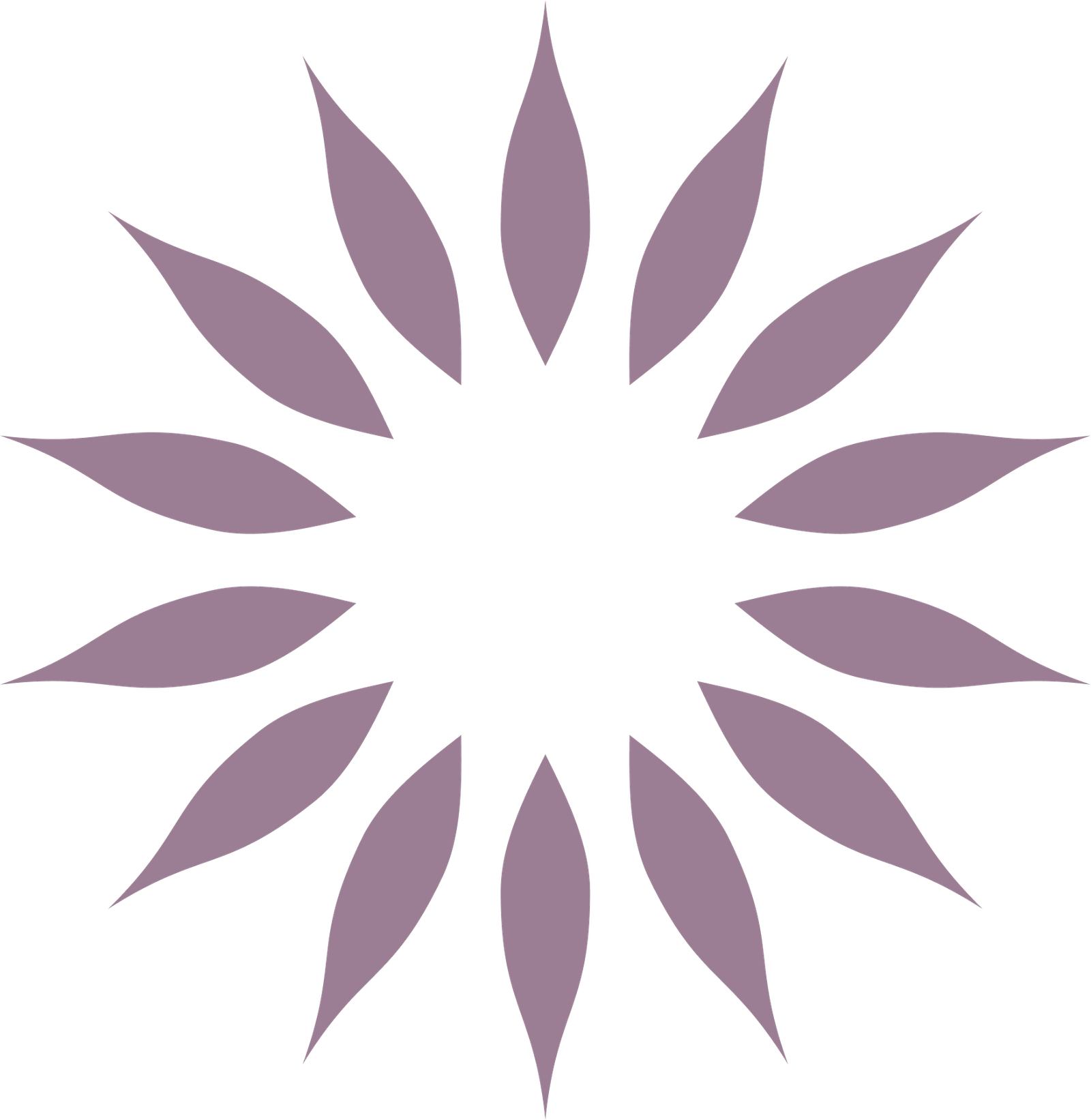 The Blossom Academy