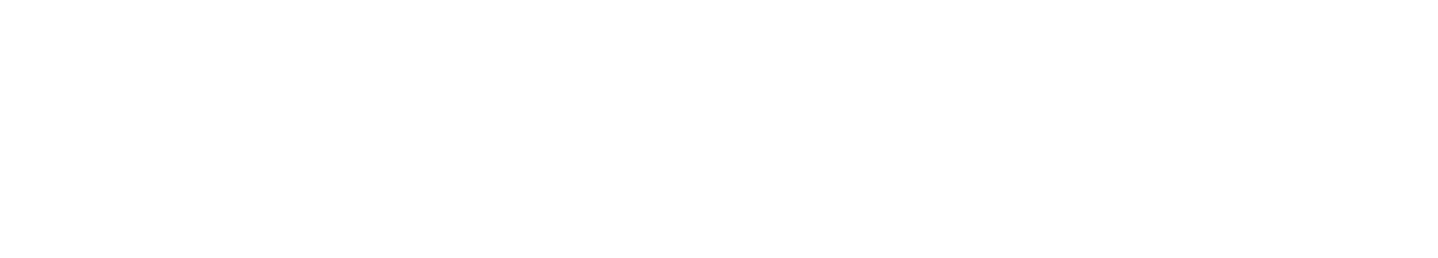 The Blossom Academy
